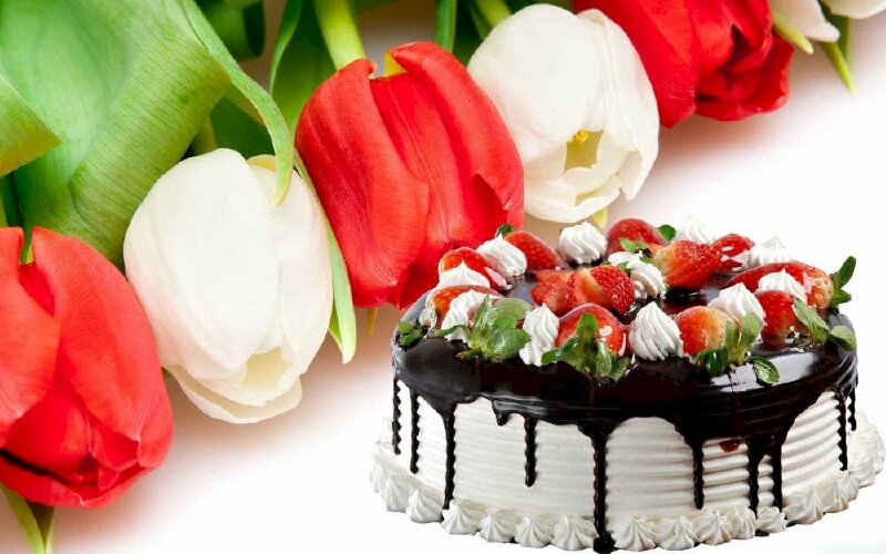 Hình hình họa hoa tulip nằm trong bánh sinh nhật đẹp