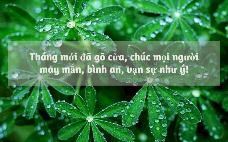 Hình ảnh đẹp gửi lời chúc bình an ý nghĩa đến mọi người