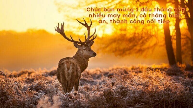 Hình ảnh đẹp và lời chúc bình an ý nghĩa