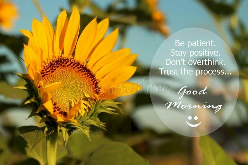 Hình ảnh chúc buổi sáng bằng tiếng Anh đẹp, ý nghĩa