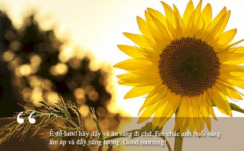 Hình ảnh chúc buổi sáng ngọt ngào để bạn gái gửi đến người yêu