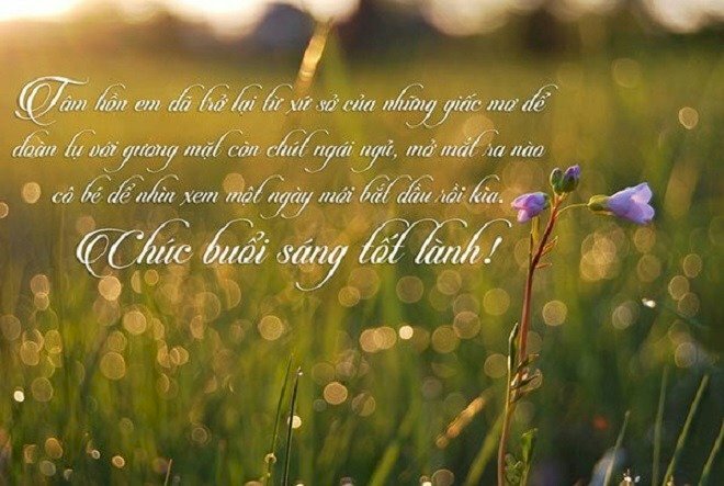 Hình ảnh chúc buổi sáng lãng mạn cho người yêu