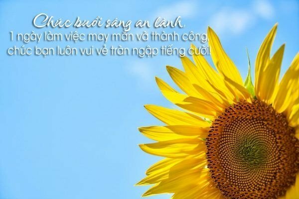 Hình ảnh và lời chúc buổi sáng an lành đến mọi người