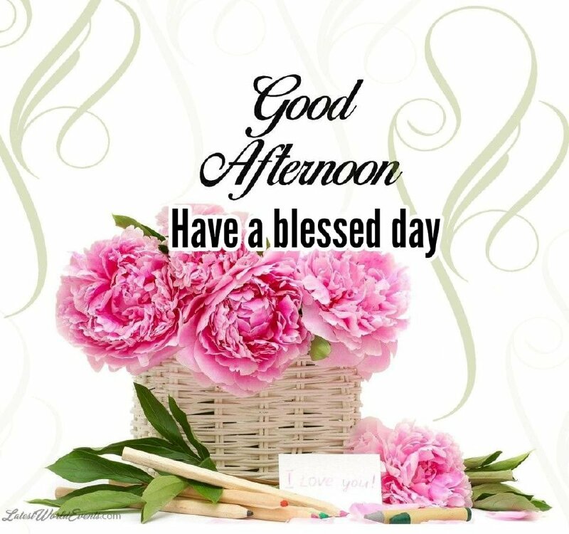 Hình ảnh đẹp chúc buổi trưa vui vẻ, an lành