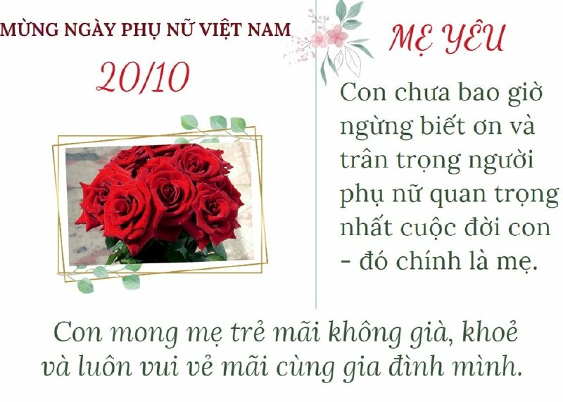 Top hình ảnh chúc mừng 20/10 ngày Phụ nữ Việt Nam với hoa đẹp