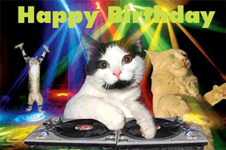 Ảnh sung sướng mèo DJ thân tặng sinh nhật chúng ta bè