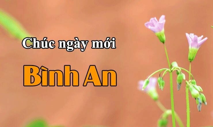 Hình ảnh chúc ngày mới bình an đơn giản, đẹp nhẹ nhàng