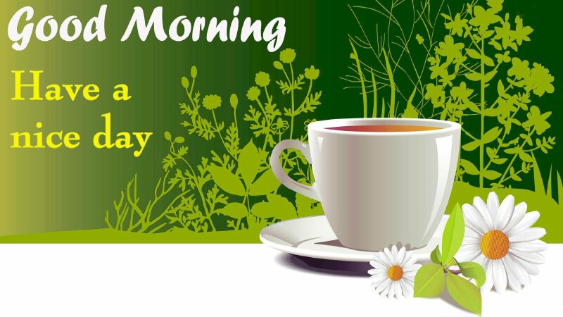 Ảnh đẹp chào buổi sáng, chúc ngày mới bình an tốt đẹp bằng tiếng Anh