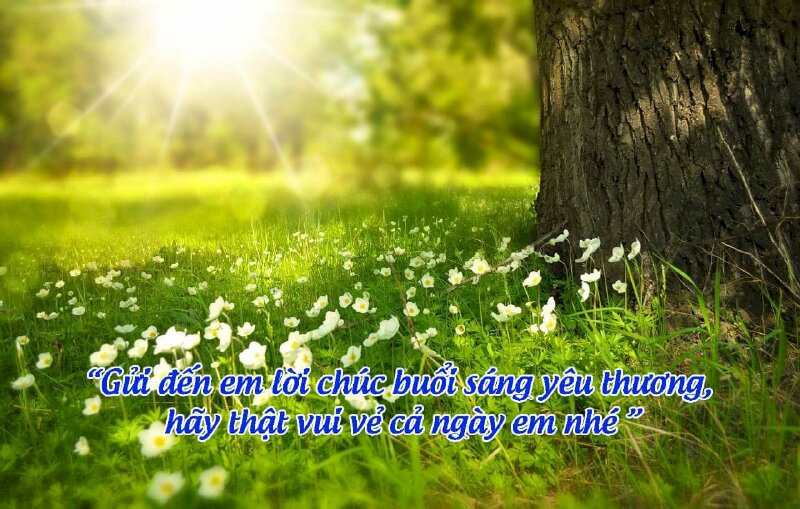 Hình ảnh chúc ngày mới vui vẻ thật nhẹ nhàng dành cho người yêu