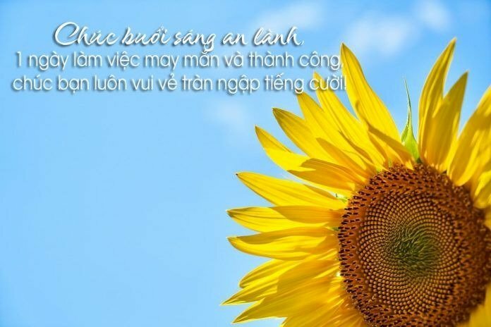 Hình ảnh chào buổi sáng với lời chúc ý nghĩa