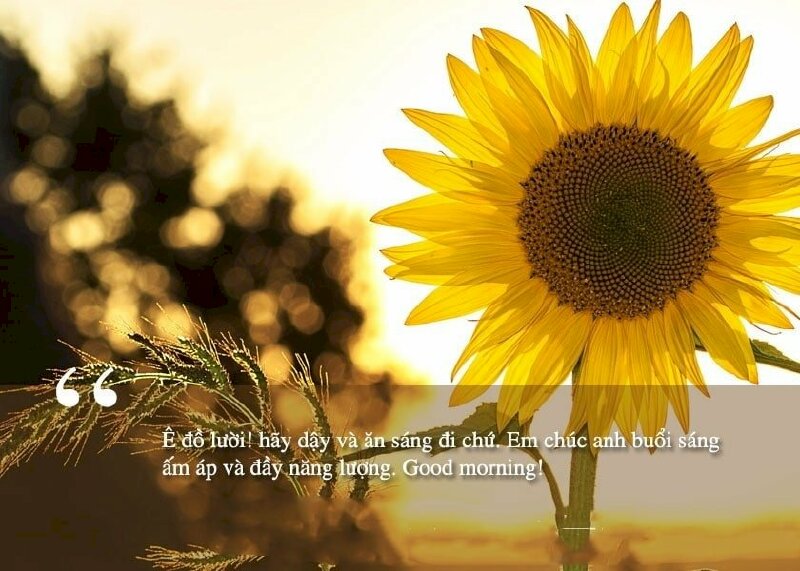 Hình ảnh dễ thương, lời chúc ấm áp đầy năng lượng dành cho người yêu của cô gái