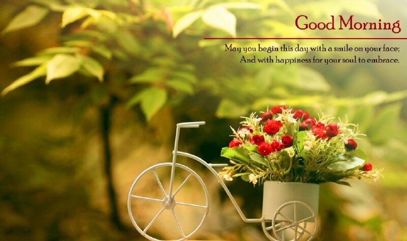 Hình ảnh dễ thương chúc ngày mới vui vẻ tràn đầy năng lượng