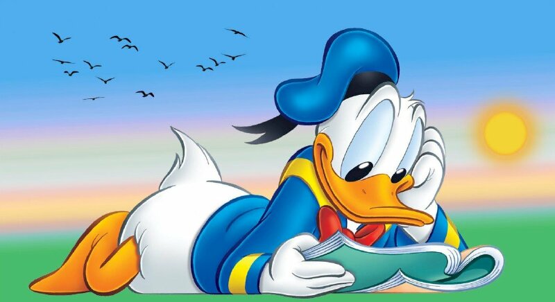 Hình hình họa phim hoạt hình vịt Donald đáng yêu và dễ thương đang được ở xem sách bên trên kho bãi cỏ