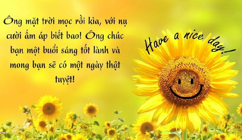 Hình ảnh đẹp chúc buổi sáng và lời chúc ý nghĩa gửi đến bạn bè, người thân