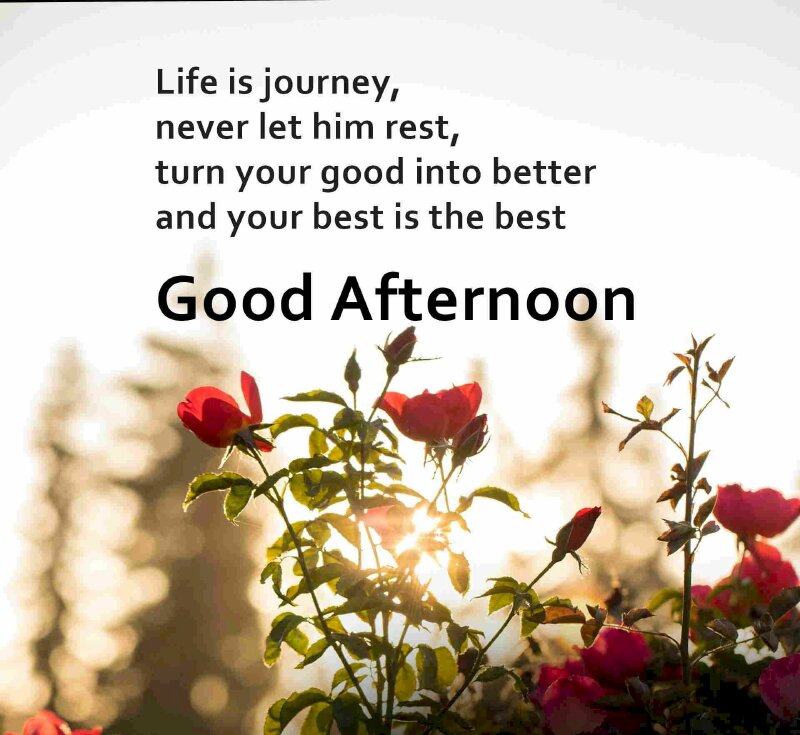 Hình ảnh lời chúc buổi trưa bằng tiếng Anh thật đẹp và ý nghĩa