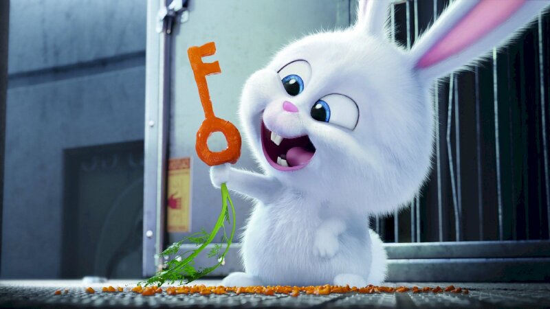 Con thỏ phim hoạt hình đáng yêu, lí nhấp lên xuống vẫn gặm củ củ cà rốt trở nên cái chìa khoá