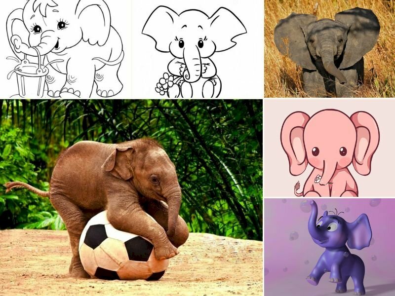 Top với hơn 112 hình voi cute mới nhất  Tin Học Vui