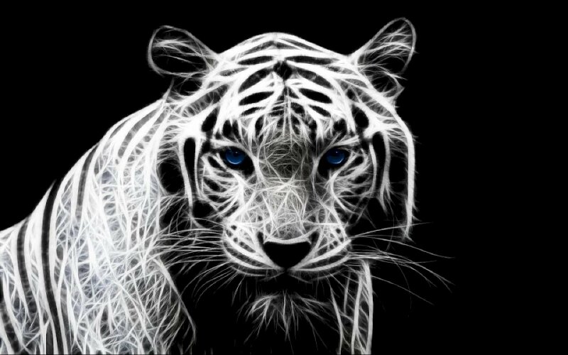 Ảnh hổ trắng 3D đẹp vẽ mặt ngầu ngầu | Bạch hổ, Hình ảnh, Động vật