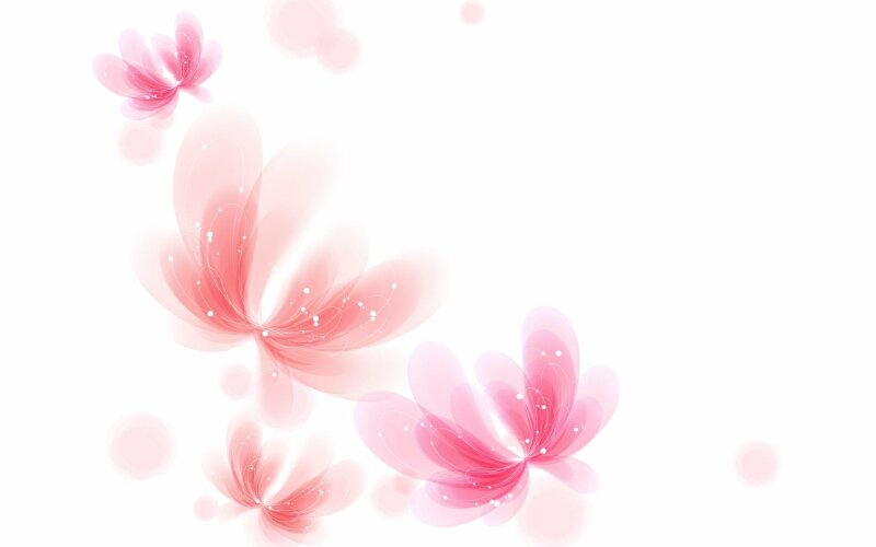 Hình nền Trắng hồng hình hoa 3 chiều rất đẹp nghệ thuật