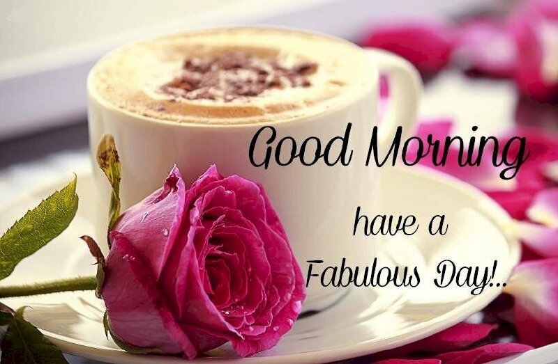 Ảnh đẹp chúc ngày mới vui vẻ và tuyệt vời