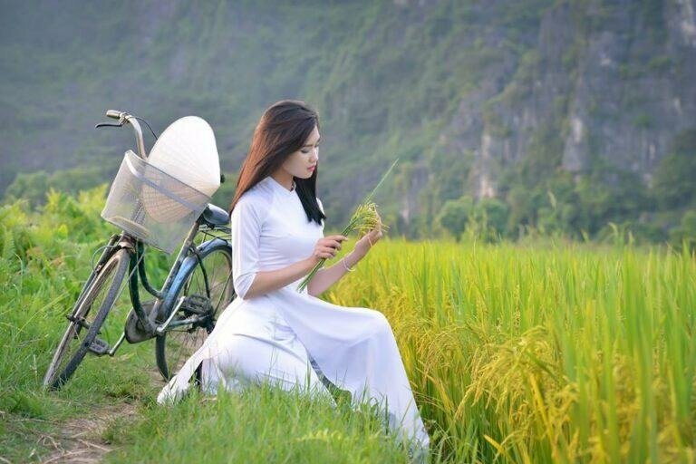 Tạo dáng nhẹ nhàng ngồi xuống bên cánh đồng lúa, tay khẽ nâng niu những cành lúa trĩu bông, đầu khẽ nghiêng và ánh mắt suy tư