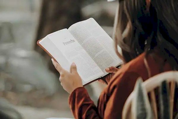 Tạo dáng đơn giản ngồi ghế đọc sách, góc chụp ảnh từ phía sau