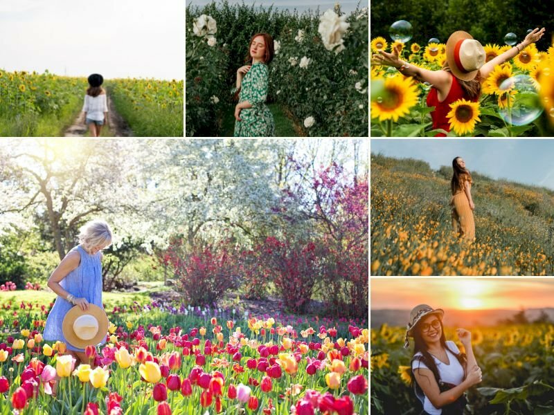 101 cách tạo dáng chụp ảnh với cánh đồng hoa đẹp nhất, tải miễn phí