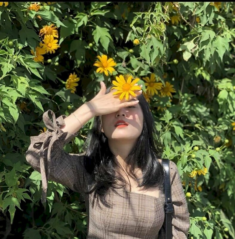 Tạo dáng dùng tay có kẹp bông hoa dã quỳ vàng rực che đi một phần khuôn mặt