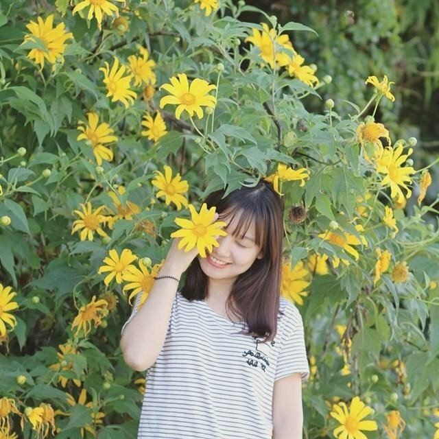 Tạo dáng dùng hoa dã quỳ che mặt, đứng tự nhiên, đầu khẽ nghiêng, mắt nhắm nhẹ với một nụ cười dễ thương