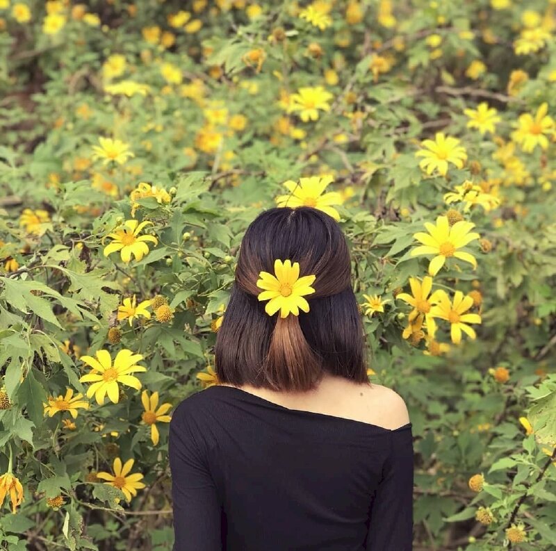 Cách tạo dáng chụp từ sau lưng với hoa dã quỳ cài tóc