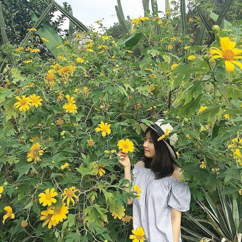 Tạo dáng chụp ảnh đơn giản với dáng đứng nghiêng, một tay thả tự nhiên, một tay cầm nhánh hoa dã quỳ