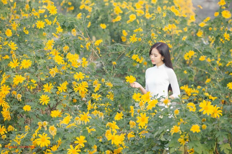 Tạo dáng tay khẽ nhẹ nâng cánh hoa