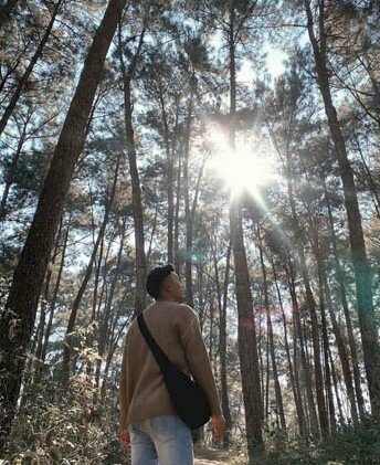 Cách tạo dáng đứng giữa rừng cây