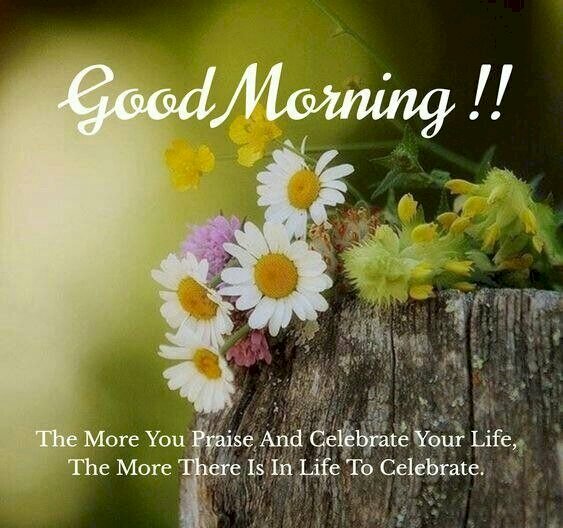 Hình ảnh đẹp chúc ngày mới tốt lành rất ý nghĩa cùng dòng nhắn nhủ dễ thương