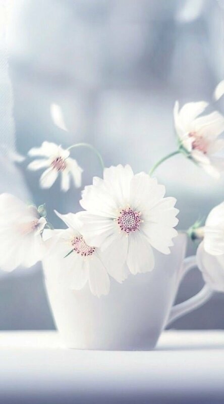 Hình ảnh chiếc tách cắm vài bông hoa trắng rất nghệ thuật