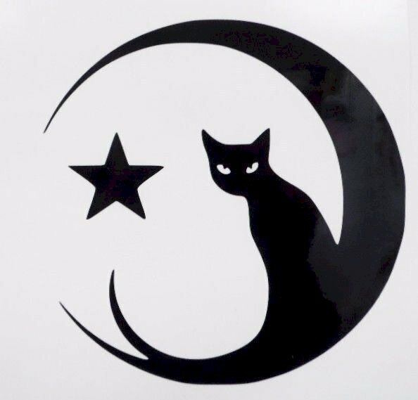 Ảnh trắng đen chiếc mèo có đôi mắt rất sắc ngồi trên vầng trăng khuyết quay đầu nhìn
