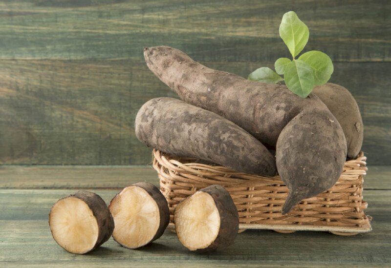 Hình ảnh củ sâm đất với nguồn dinh dưỡng cao