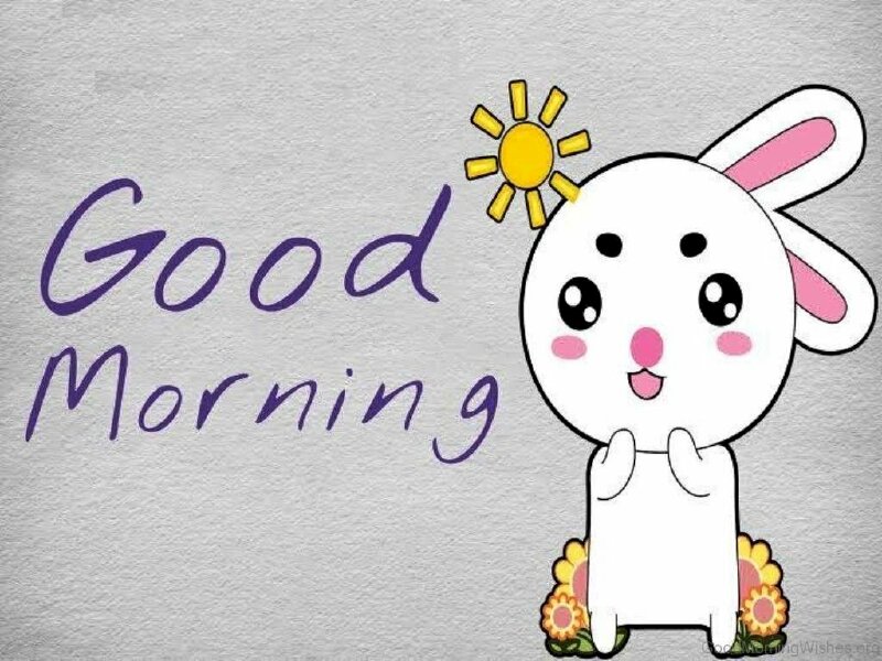 Hình ảnh thỏ cute chào buổi sáng