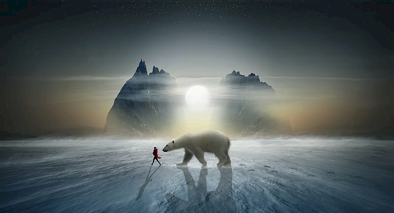 Hình ảnh gấu trắng Bắc Cực đang bước đi ngầu chất dưới ánh trăng 