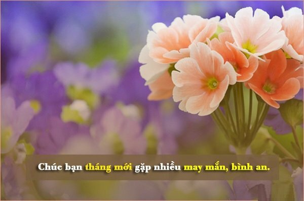 Hình ảnh chúc may mắn bình an tháng mới