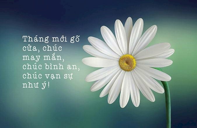 Hình ảnh chúc may mắn bình an, vạn sự như ý trong tháng mới