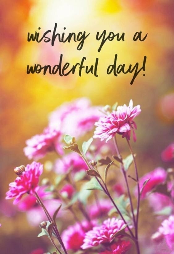 Ảnh chào ngày mới tốt lành cùng những bông hoa tím xinh xắn