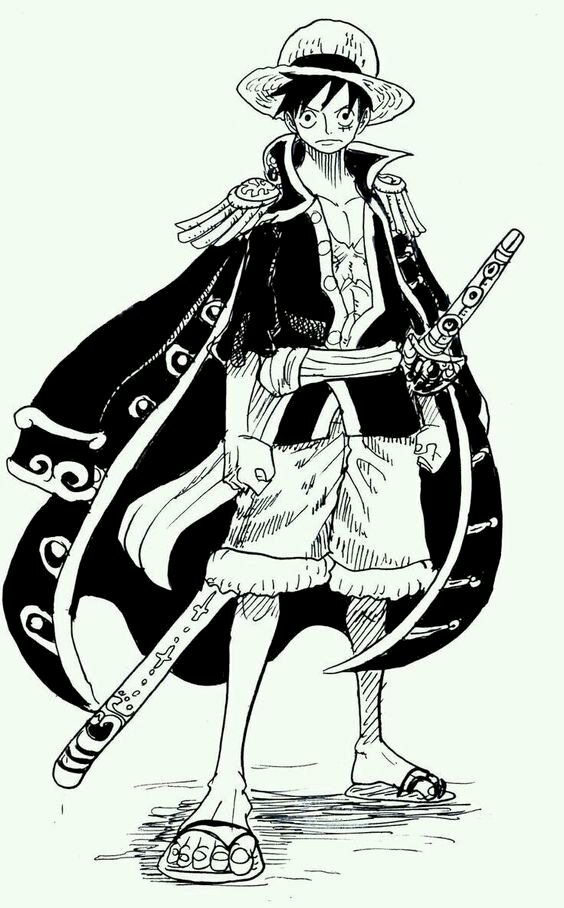 One Piece thời Covid-19, Luffy cũng phải đeo khẩu trang cẩn thận để phòng  dịch