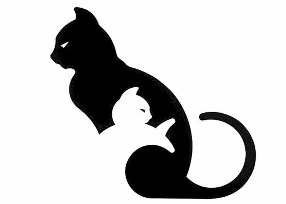 Ảnh mẹo con mèo trắng đen với mèo mẹ có đôi mắt cực ngầu