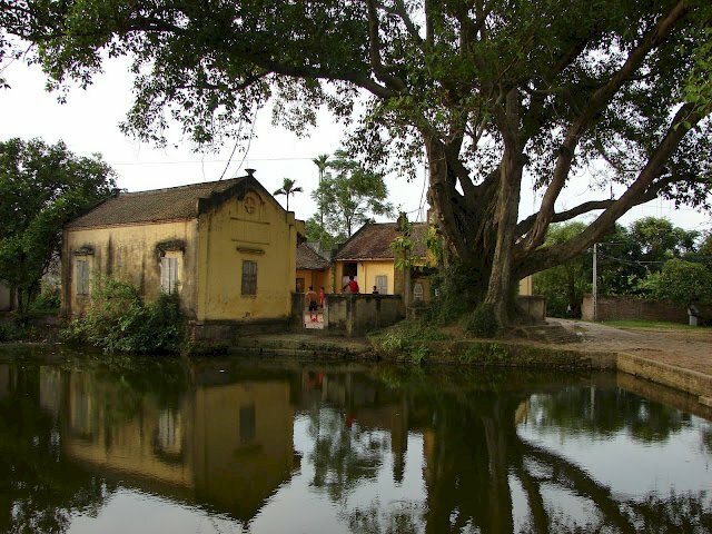 Ảnh cây đa bến nước sân đình vắng lặng, bình yên