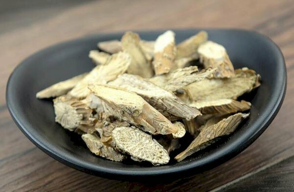 Hình ảnh chén thuốc từ cây dây đau xương