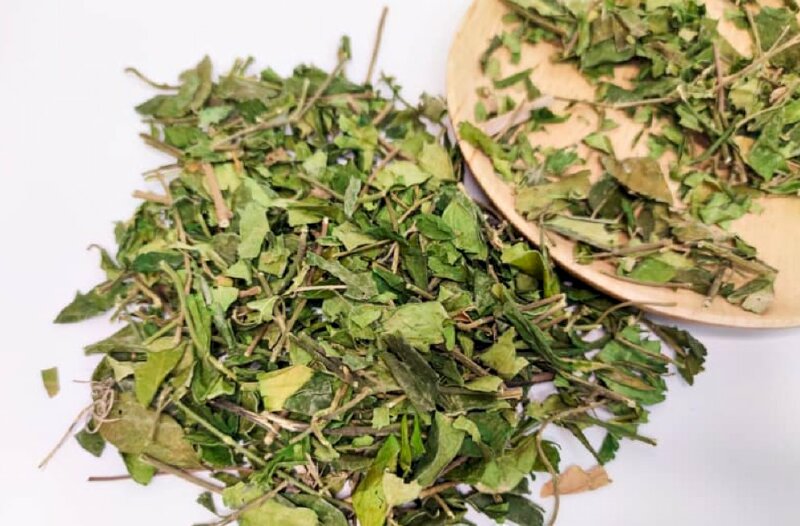 Hình ảnh dây thìa canh được sấy khô và sử dụng cho nhiều mục đích sức khỏe. Tuy nhiên sử dụng quá nhiều dây thìa canh sẽ gây rối loạn hoặc mất cân bằng trao đổi chất của cơ thể