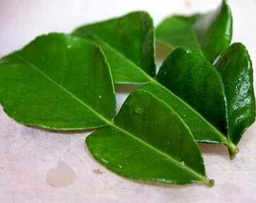 Hình ảnh lá bưới xanh tươi