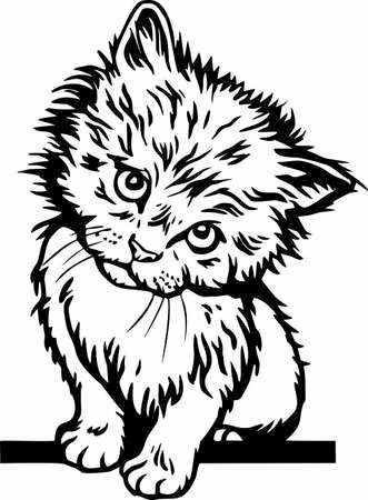 Ảnh mèo con Anime trắng đen siêu dễ thương