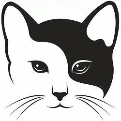 Hình ảnh mặt meo cute trắng đen